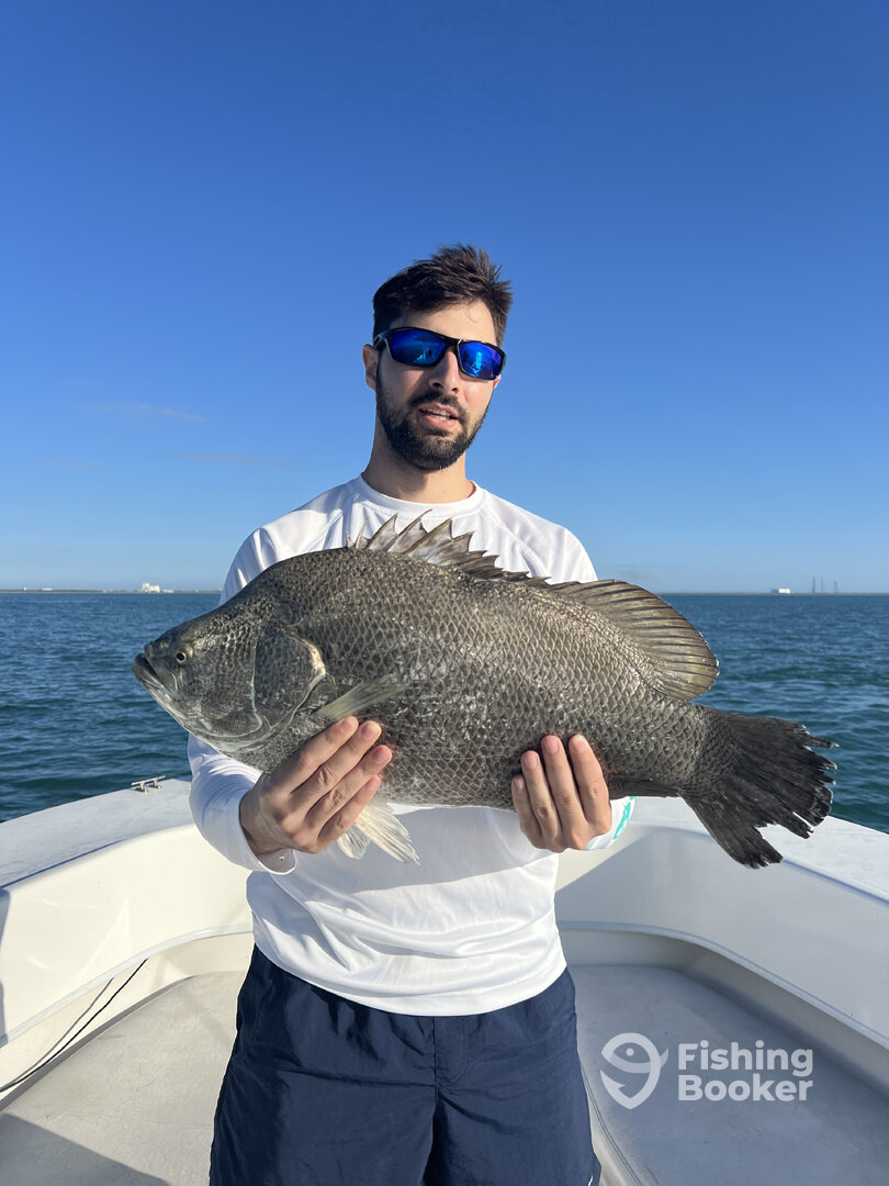 Port Canaveral Report Photo 0
