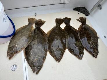 Hampton Bays Report Photo 2