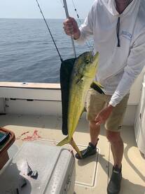 Hampton Bays Report Photo 1