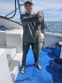 Niceville Report Photo 2