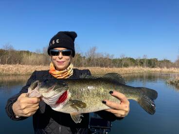 The Bass Spawn Is On!