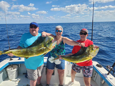 Mahi mahi heating up!