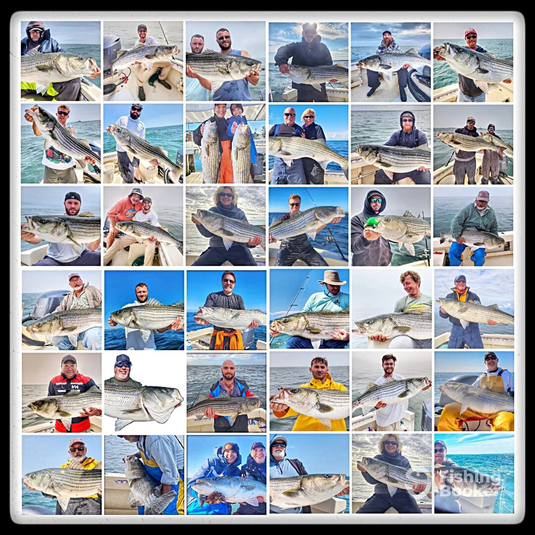 Montauk Report Photo 0