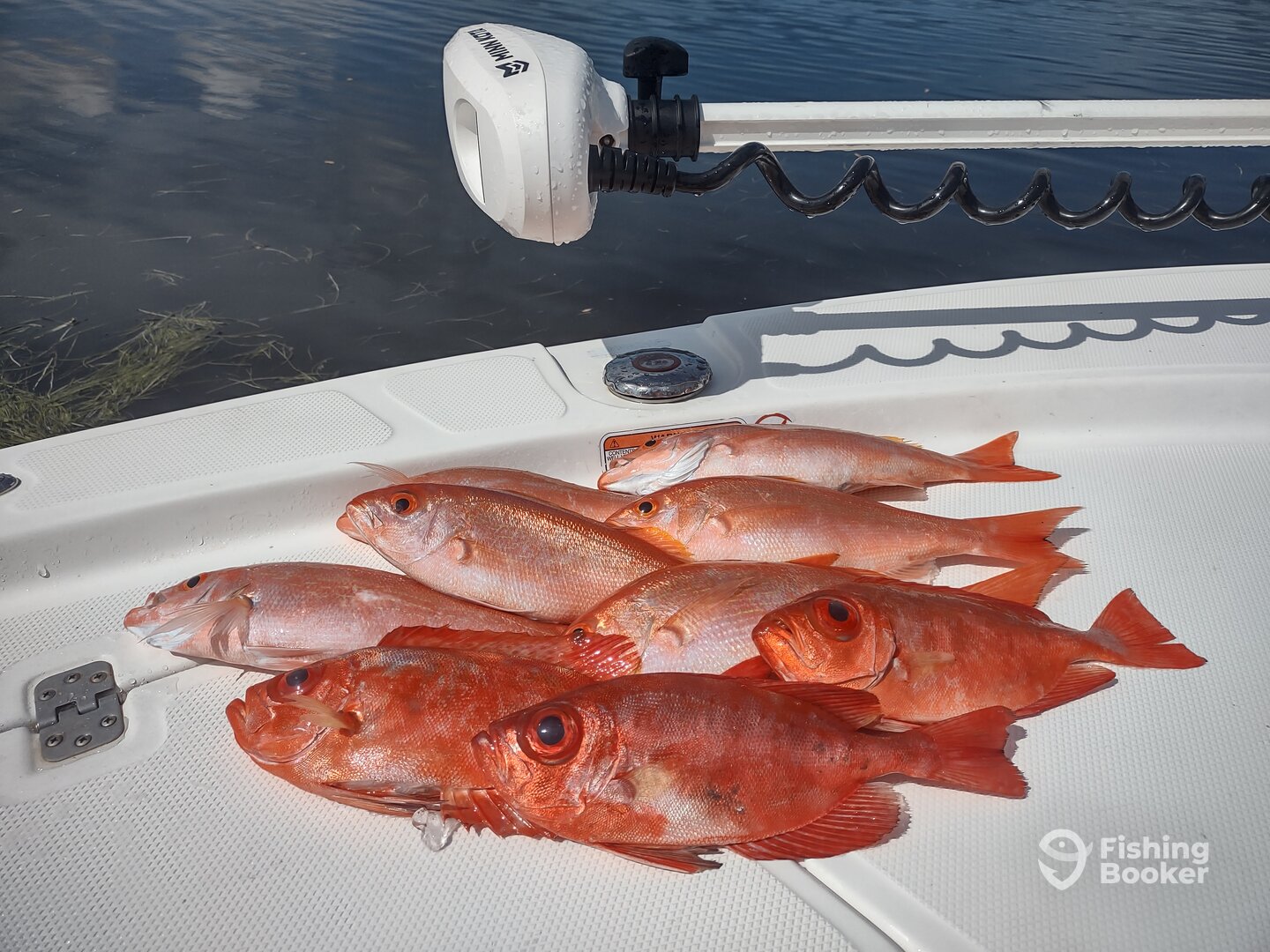 Yankeetown Report Photo 0