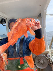 Gloucester Report Photo 2