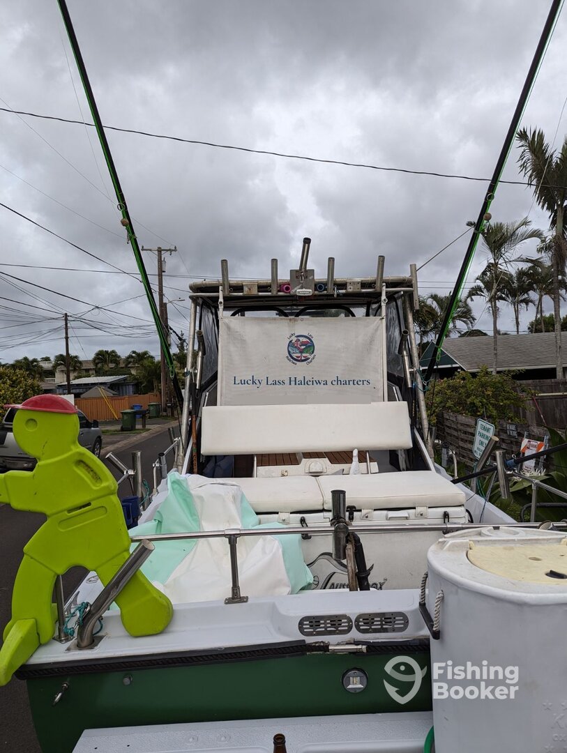 Haleiwa Report Photo 0