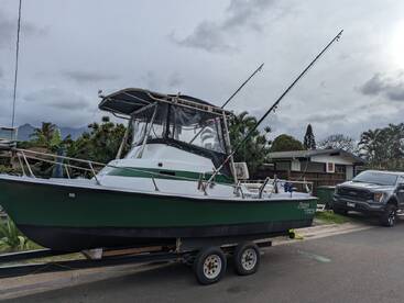 Haleiwa Report Photo 1