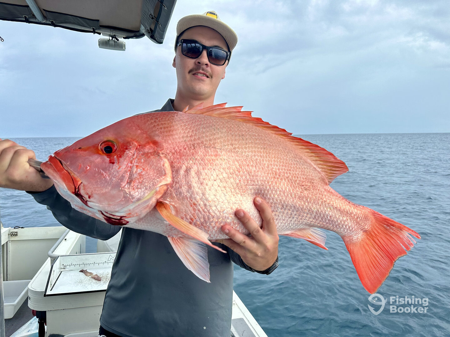 Port Douglas Report Photo 0