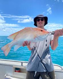 Port Douglas Report Photo 1