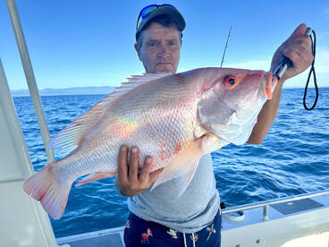 Port Douglas Report Photo 2