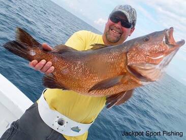 Quepos Report Photo 1