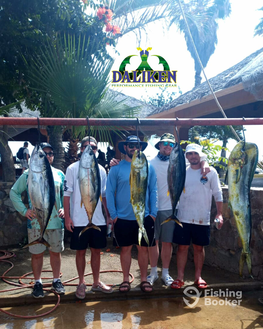 San Jose del Cabo Report Photo 0
