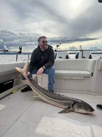 6 foot long fish(s) for our Wednesday Cr