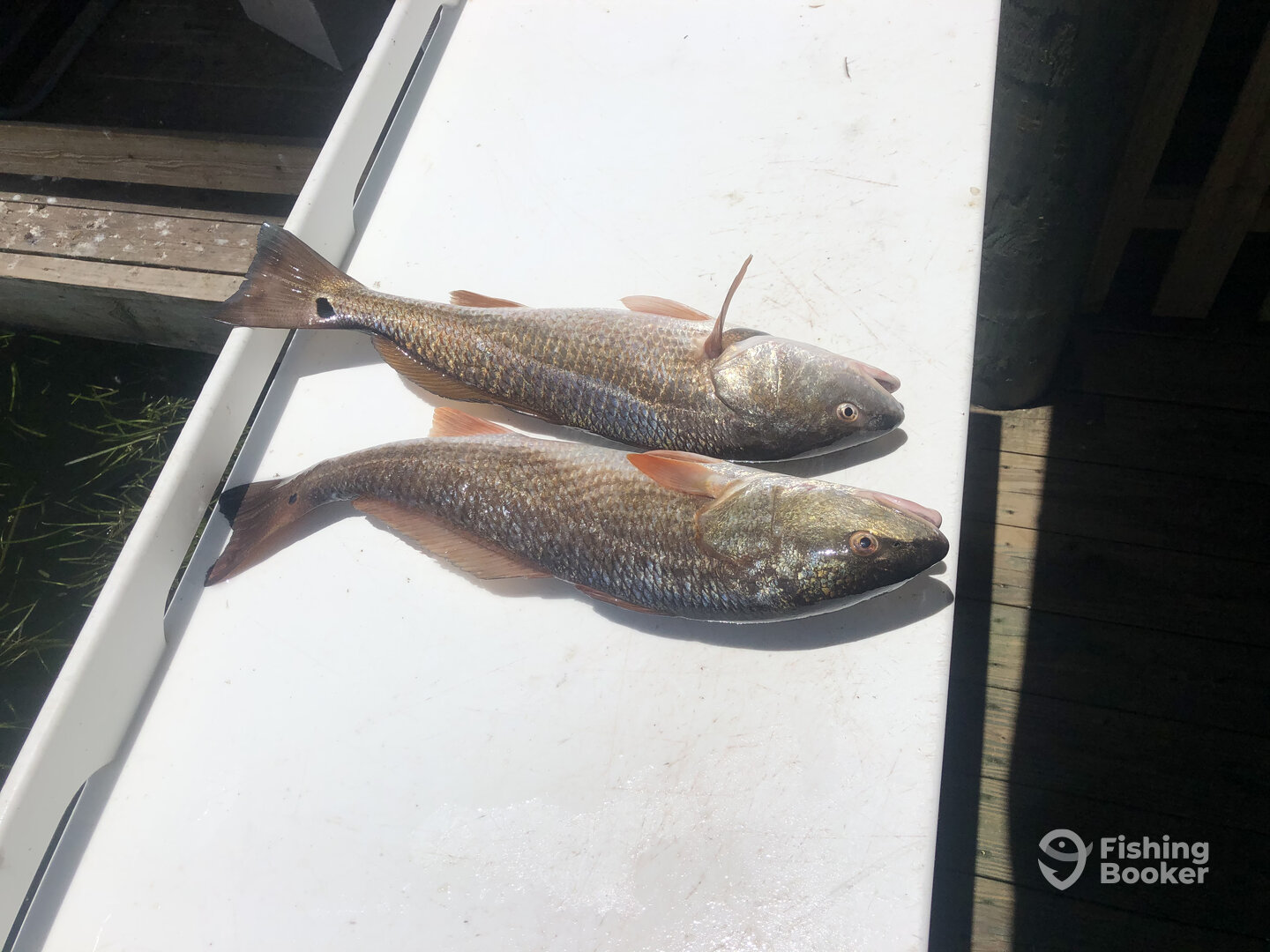 Pompano Beach Report Photo 0
