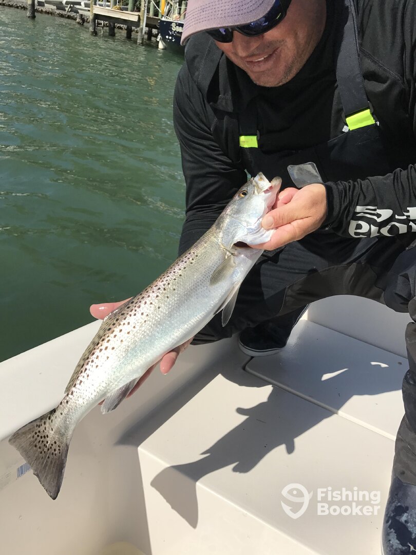 Sarasota Report Photo 0
