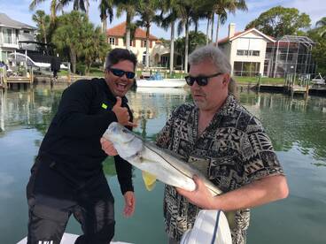 Sarasota Report Photo 1