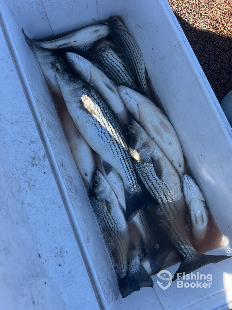 Pottsboro Report Photo 0