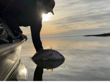 Spring Fishing