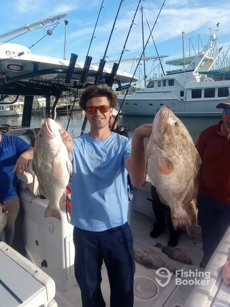 Gulfport Report Photo 0