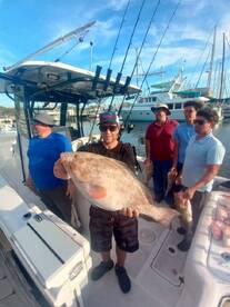 Gulfport Report Photo 2