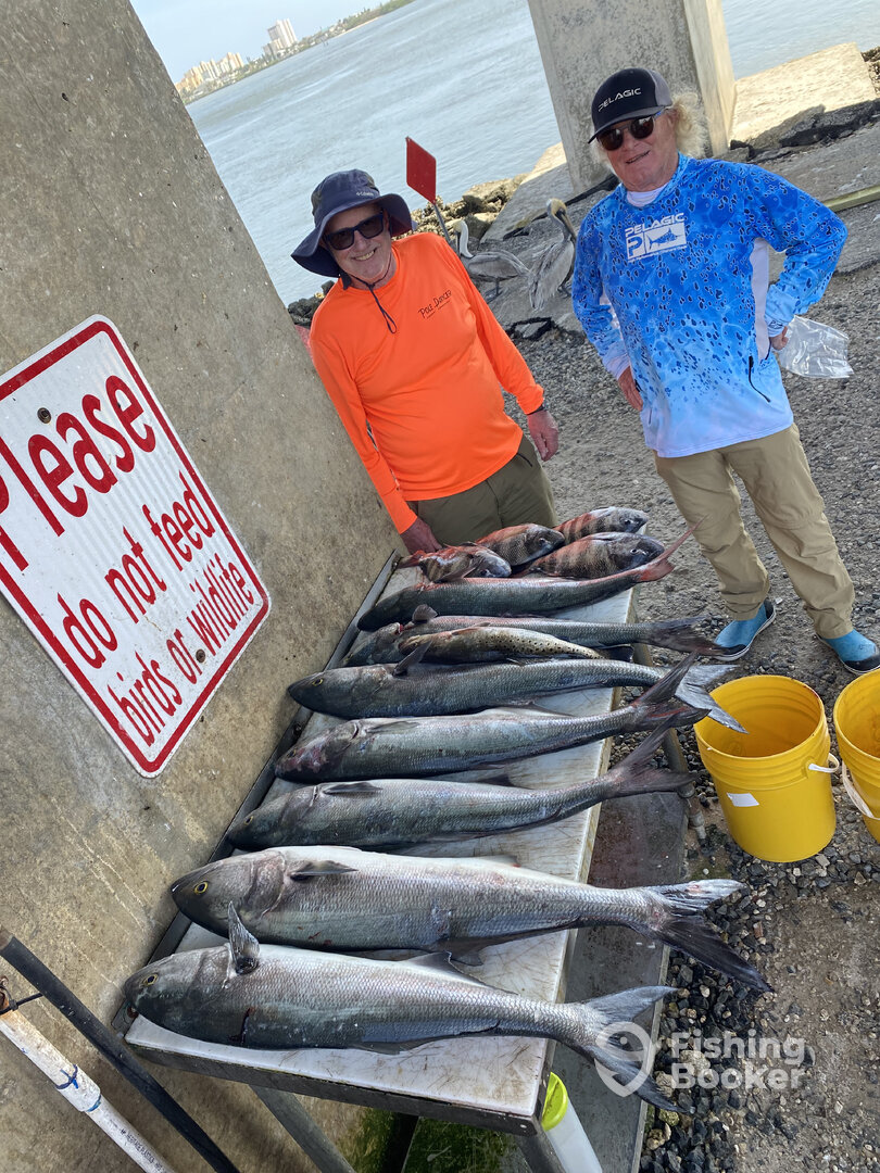 Port Orange Report Photo 0