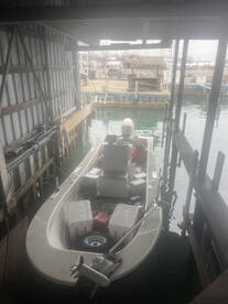 Lets go march special