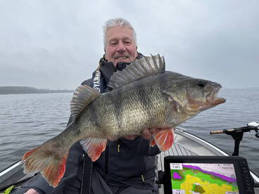Almere Report Photo 1