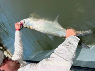 Islamorada Report Photo 2