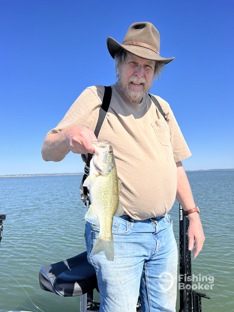 Austin Report Photo 0