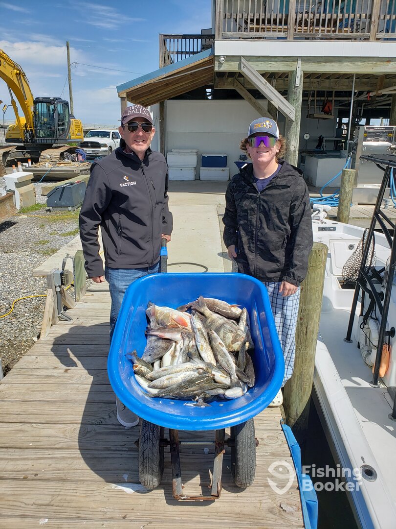 Grand Isle Report Photo 0
