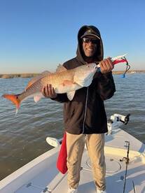 Venice Report Photo 2