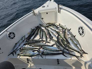 Casting and trolling Trip