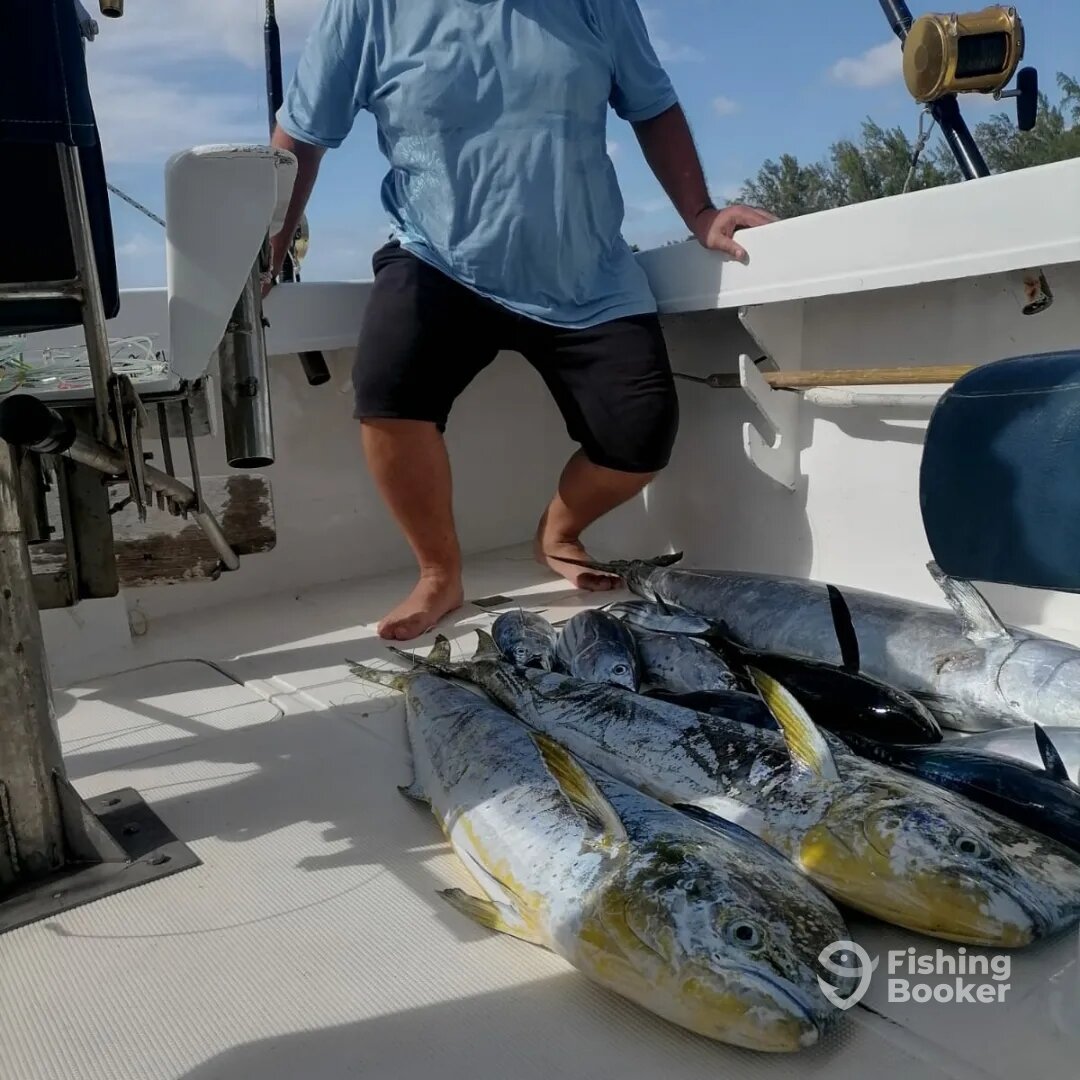 Le Morne Report Photo 0