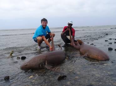 Vila Do Maio Report Photo 2