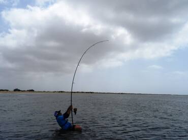 Shark Fishing , Super Day!!!!