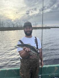 Manteo Report Photo 1