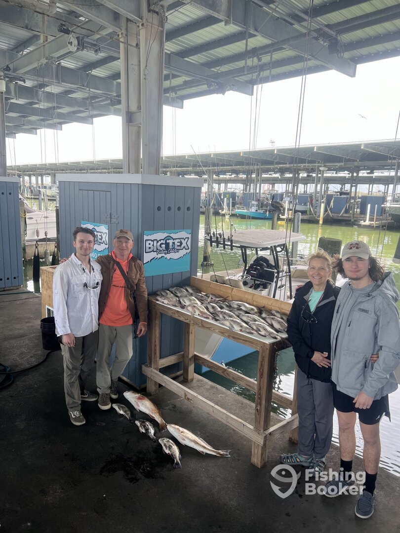 Galveston Report Photo 0
