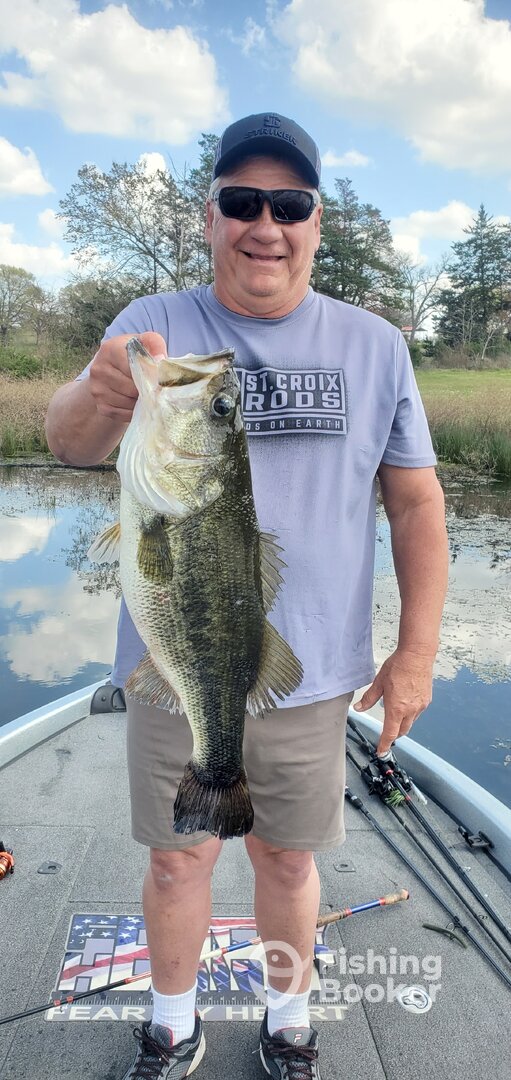 Quitman Report Photo 0
