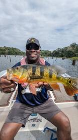 Gamboa Report Photo 1