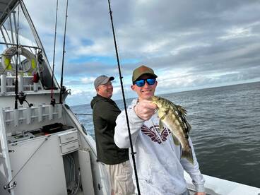 Legal Calico Bass