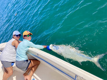 Tarpon time is here!!!