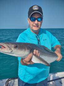 King for a Day ... Not ... 