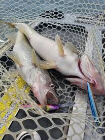 Lakeside Marblehead Report Photo 2