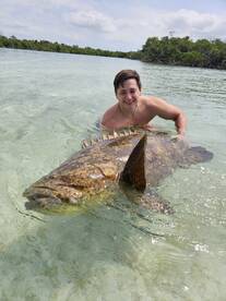 Giant inshore grouper 