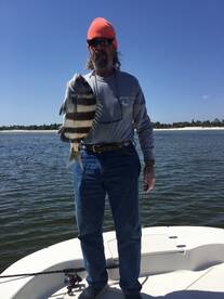 Port St. Joe Report Photo 2