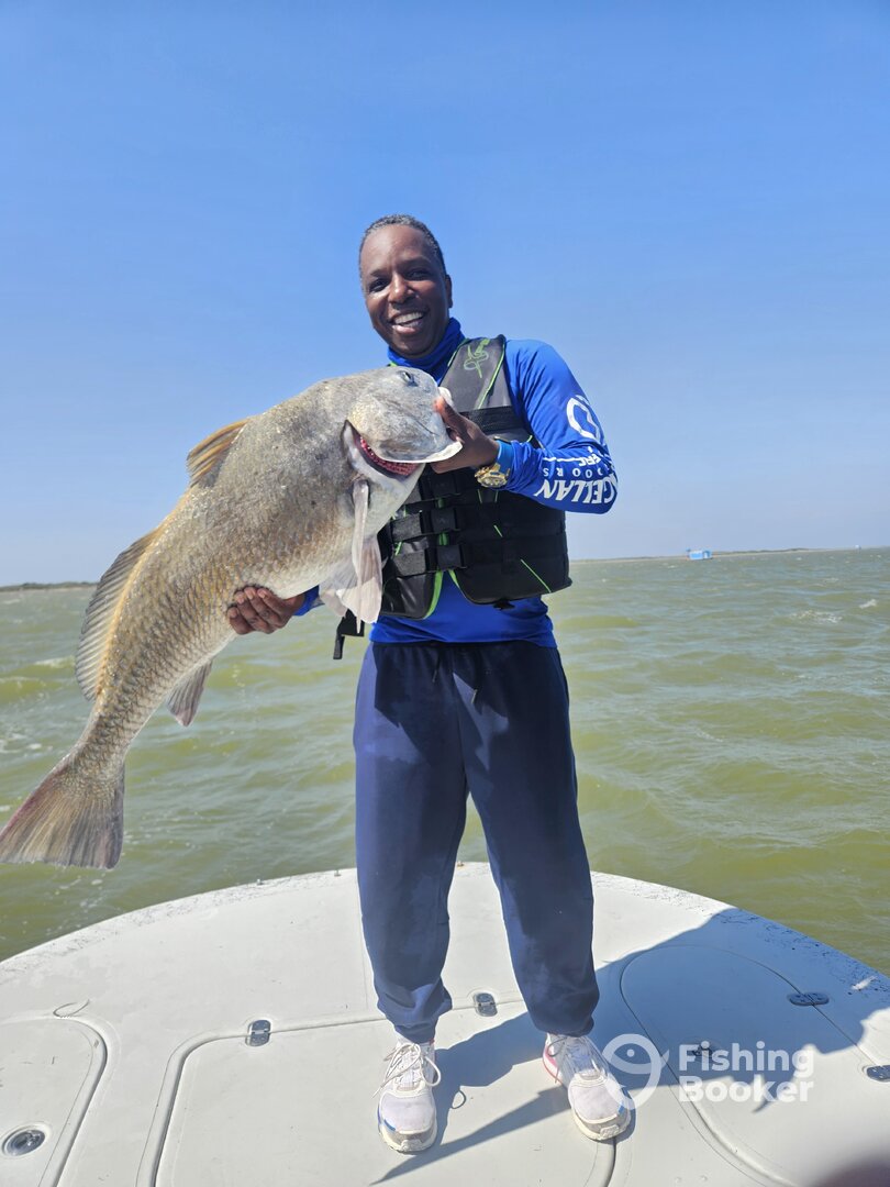 Corpus Christi Report Photo 0