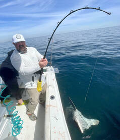 Strong bite in the gulf!