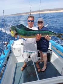 Cabo San Lucas Report Photo 2