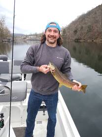 Branson Report Photo 2