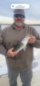 Spring Speckled Trout Bite Is On